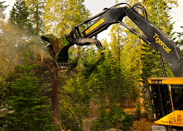 Summit Land Management Removing Dead Tree